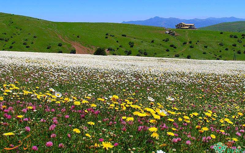 جنگل فندقلو در اردبیل