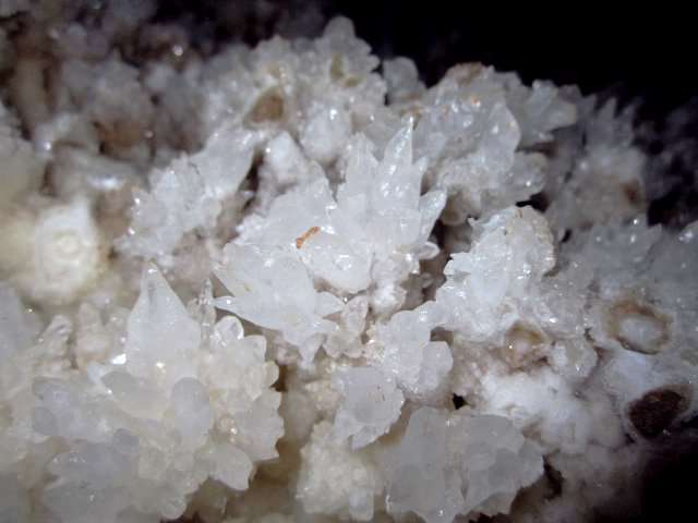 غار نباتی یزد