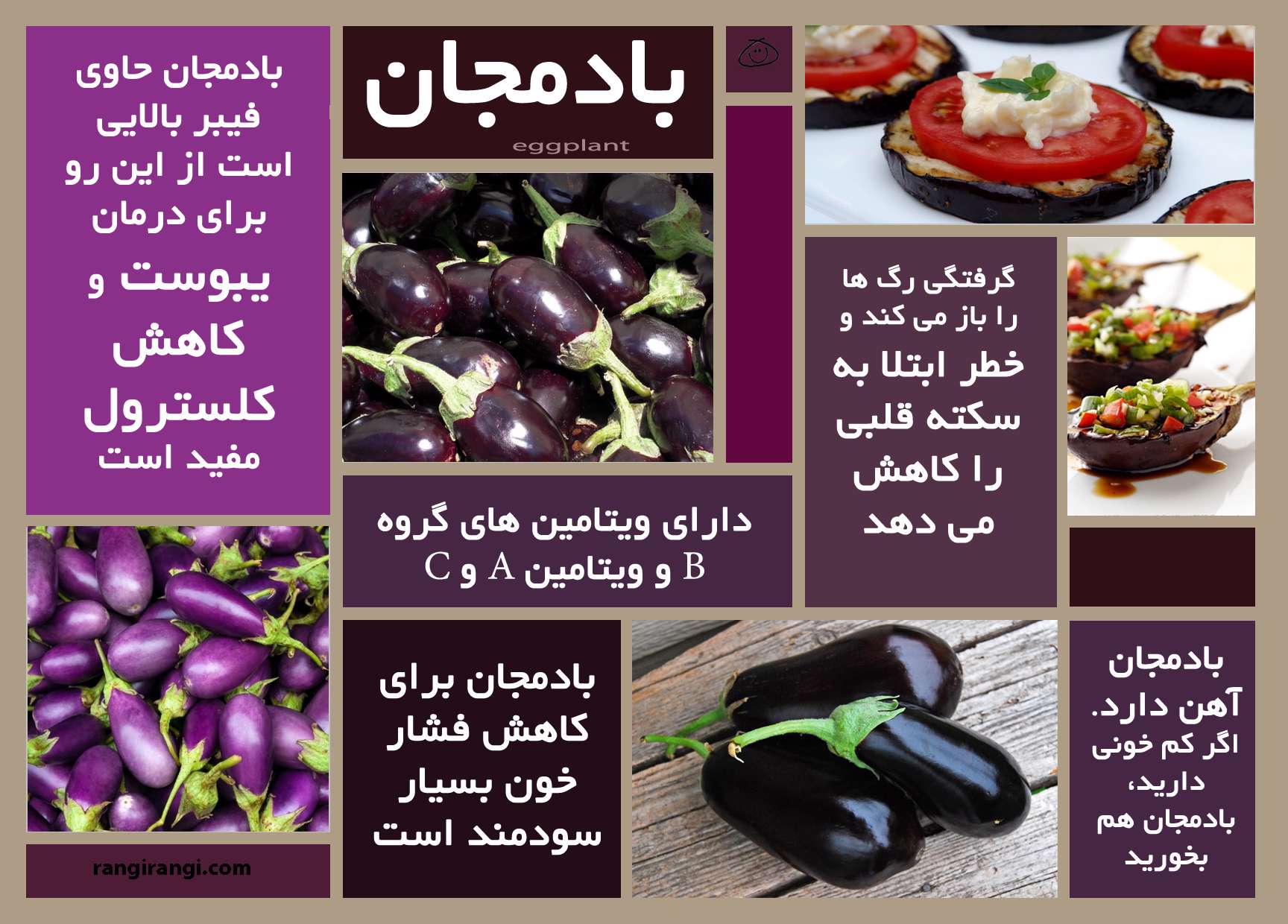خواص بادمجان
