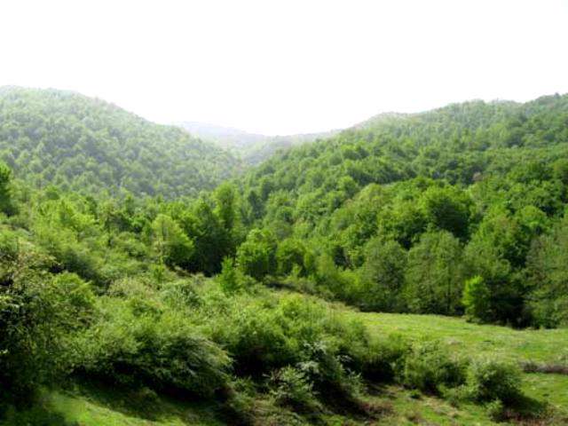 منطقه چلچی گرگان