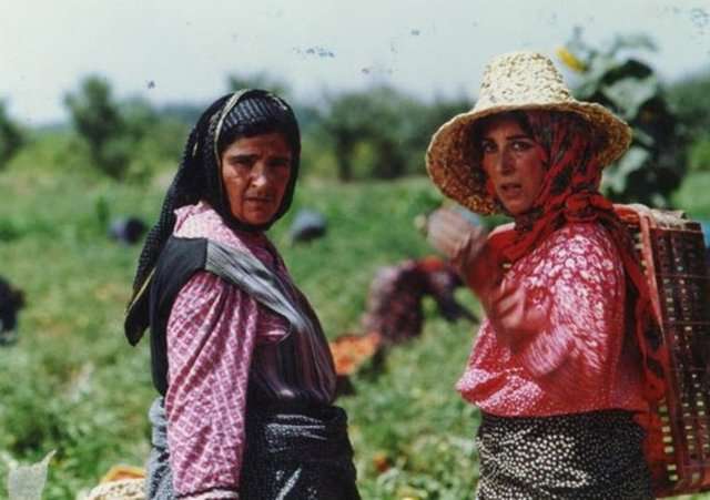فیلم روسری آبی