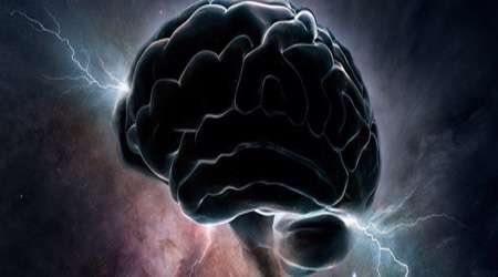 دلایل پیچیدگی مغز انسان