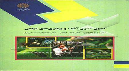 کاربرد نانو کپسول