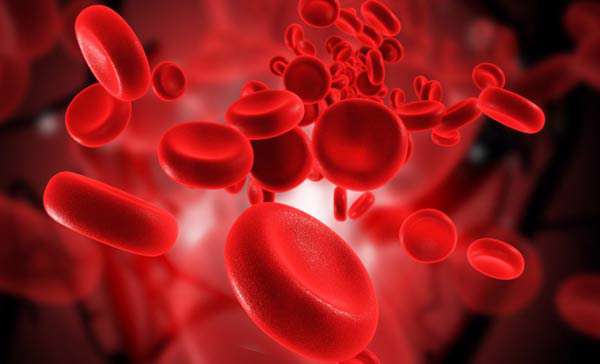تبدیل سلول‌های بنیادی به خون انسان!