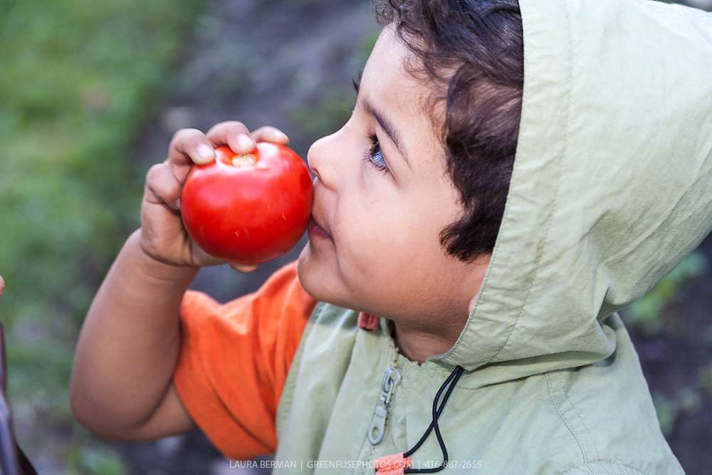 خوراکیهای مقوی برای کودکان و نوپاها خوراکیهای مقوی برای کودکان و نوپاها