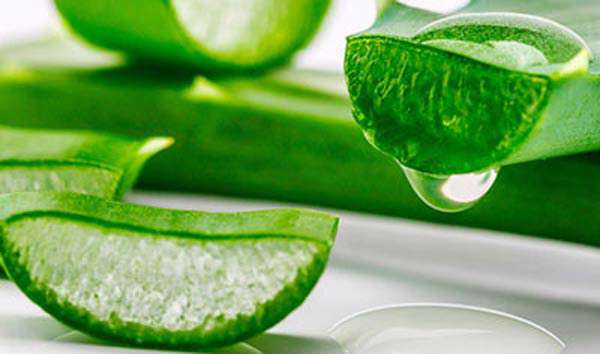 تاثیر هیدروژل بر زخم های سوختگی، دستاورد تقدیری دوره دوم فرزانگان 7 در بخش سمینار