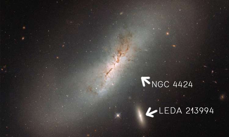 ۳. ngc 4424 و leda 213994
