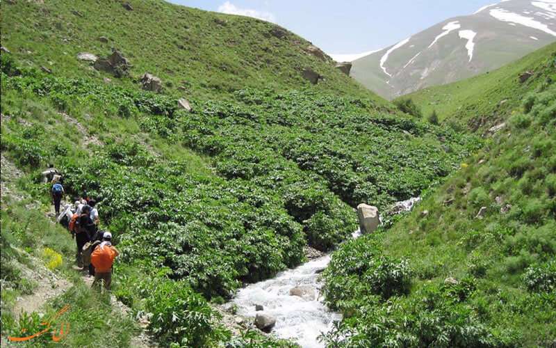 روستای آهار