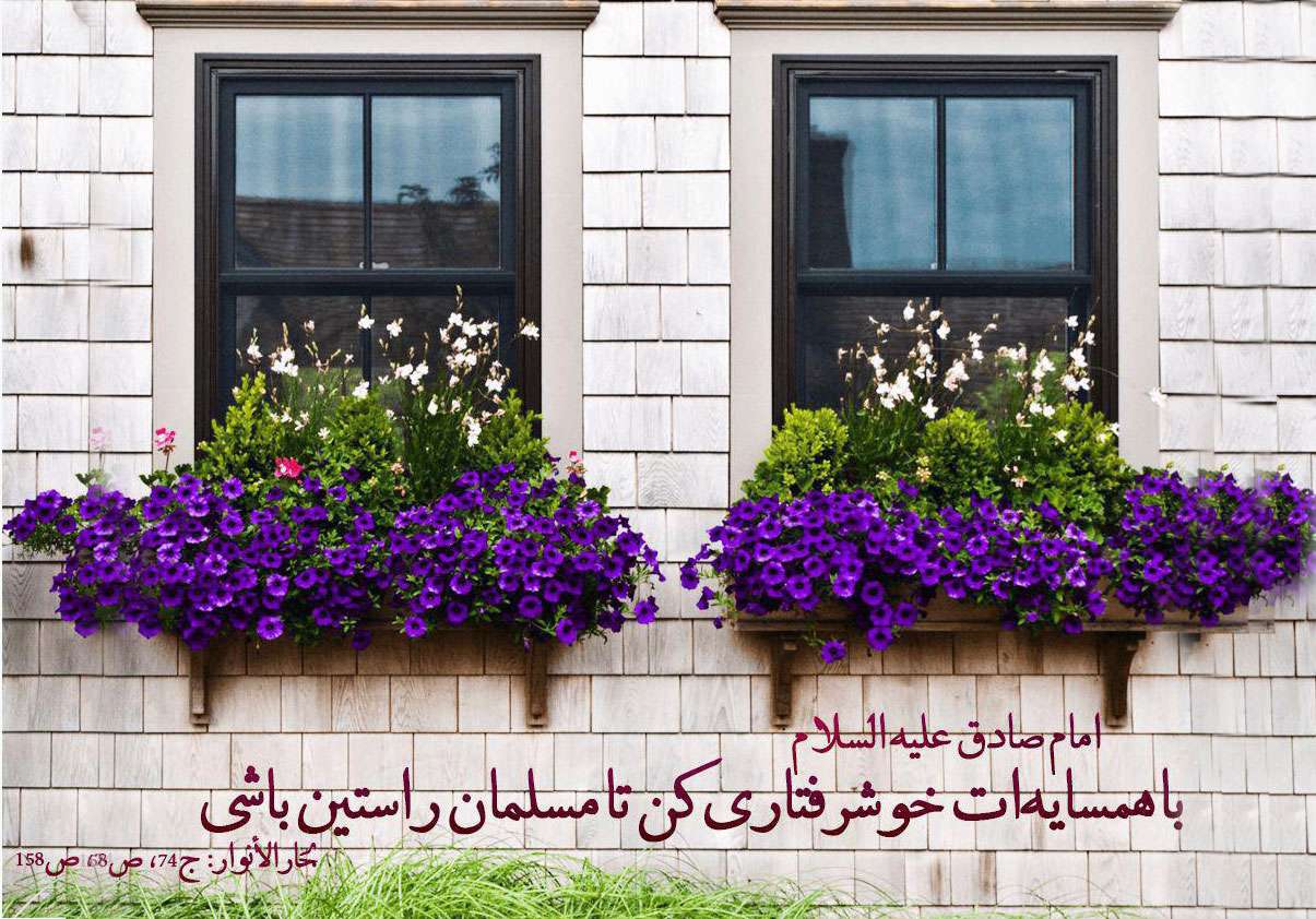 همسایه داری