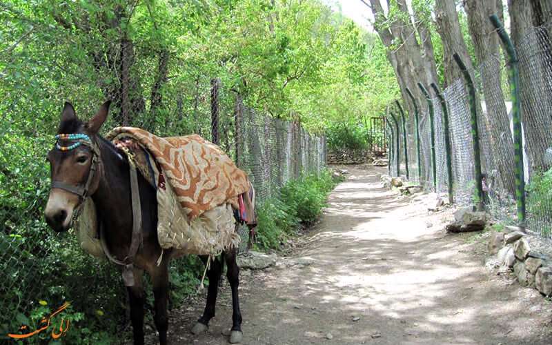 تهرانی ها! روستای آهار محلی برای تنفس تهرانی ها! روستای آهار محلی برای تنفس
