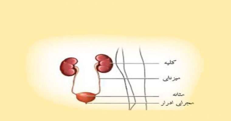 عفونت دستگاه ادراری