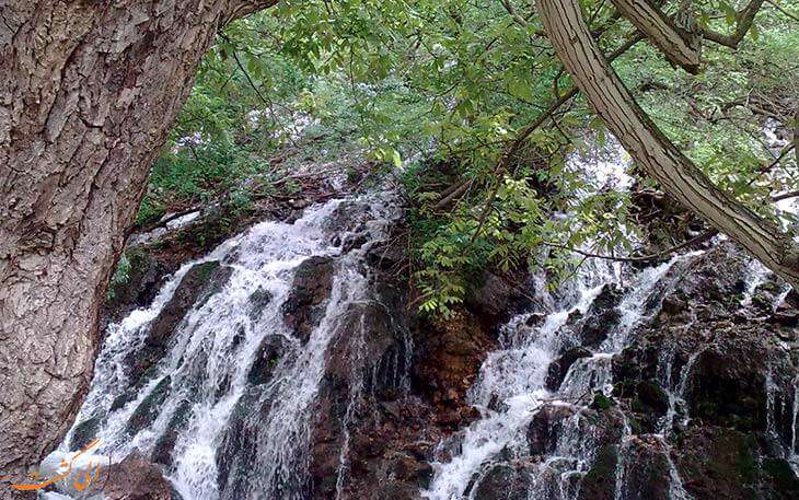 شاندیز مشهد، خوشمزه ترین شهر ایران شاندیز مشهد، خوشمزه ترین شهر ایران