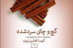 مجموعه داستان «گچ و چای سرد»