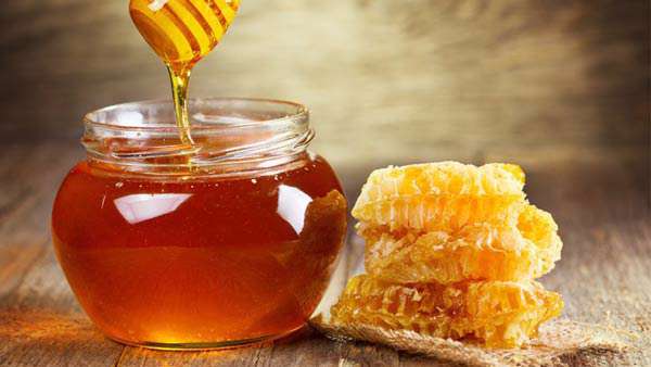 ساخت چسب زخم طبیعی، دستاورد برتر دوره دوم پژوهشسرای ابن شهر آشوب ساروی در بخش سمینار