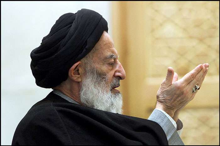 آیت الله سید موسی شبیری زنجانی