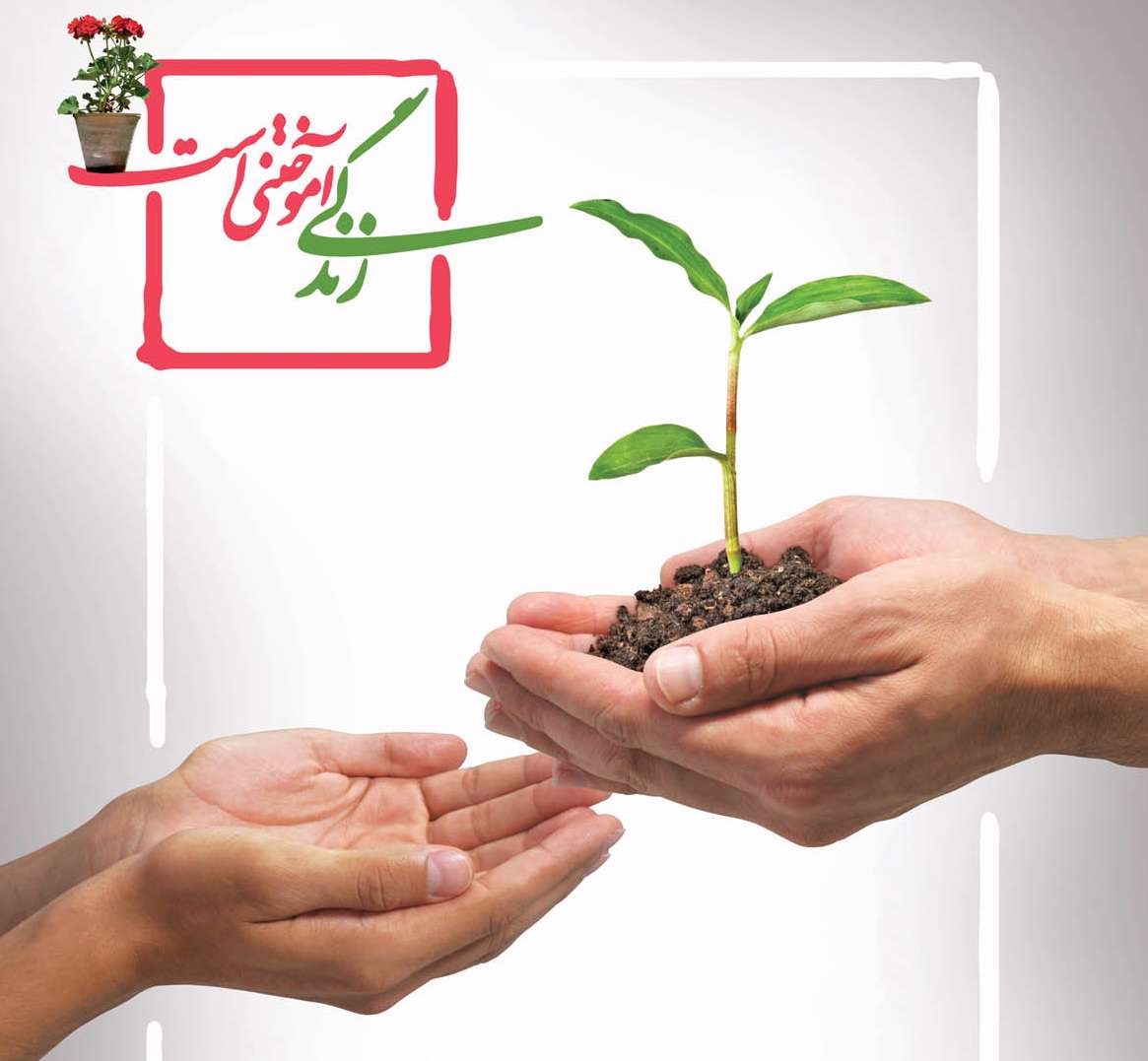 زندگی کردن را یاد بگیرید زندگی کردن را یاد بگیرید