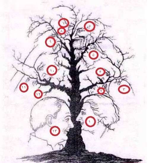 تست هوش