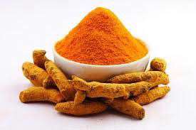 ساخت چسب زخم طبیعی، دستاورد برتر دوره دوم پژوهشسرای ابن شهر آشوب ساروی در بخش سمینار