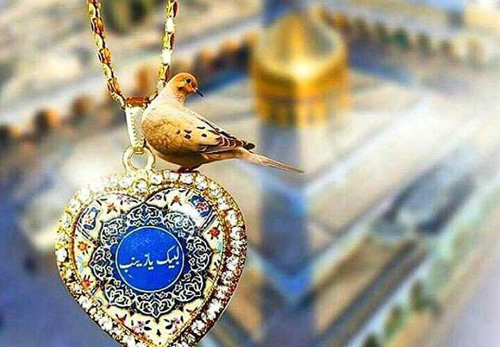 علمای اهل سنت و حضرت زینب(س) علمای اهل سنت و حضرت زینب(س)