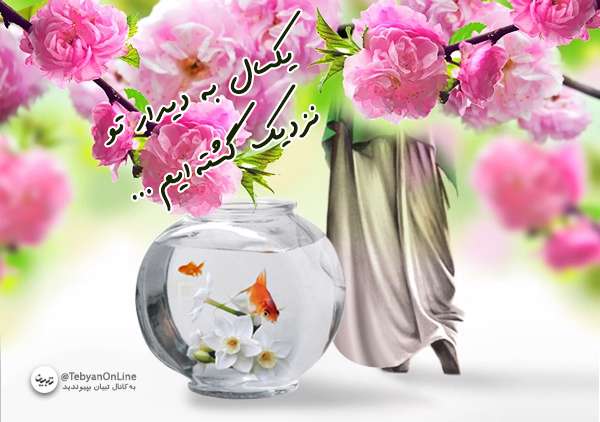 عید ما روزی است که تو بیایی ! عید ما روزی است که تو بیایی !