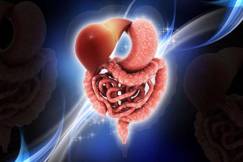 هضم غذا چقدر طول میکشد؟ هضم غذا چقدر طول میکشد؟