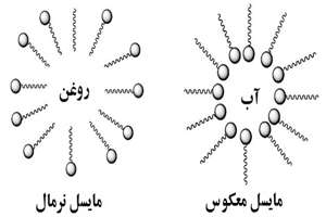 گرافن-جلسه هشتم