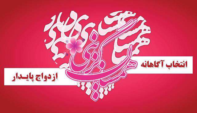 لوگوی همسان گزینی