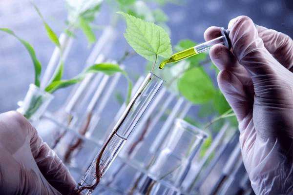 زیست، دستاورد برتر دوره دوم پژوهش سرای آفرینش در بخش غرفه