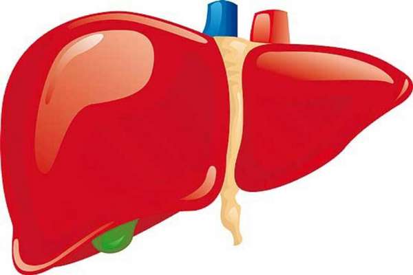 تاثیر دی اکسید تیتانیوم بر بافت کبد، دستاورد تقدیری دوره دوم پژوهشسرای استاد طاهر در بخش سمینار