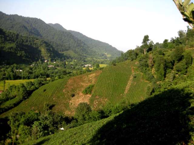 روستای فوشه