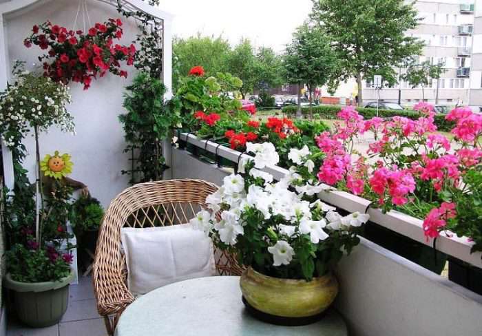 باغچه آپارتمانی