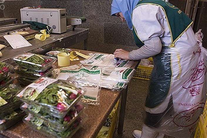 «بیمه اجتماعی» زنان سرپرست خانوار