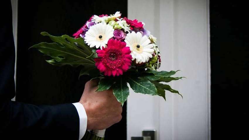 دامادی با شغل ثابت و حقوق بالا نیازمندیم دامادی با شغل ثابت و حقوق بالا نیازمندیم
