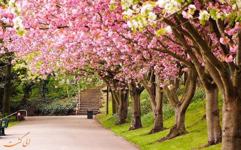 جاذبه های گردشگری