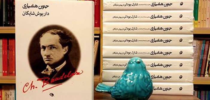 جنون هشیاری