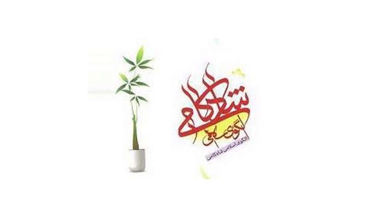 الگوی اسلامی شادکامی الگوی اسلامی شادکامی