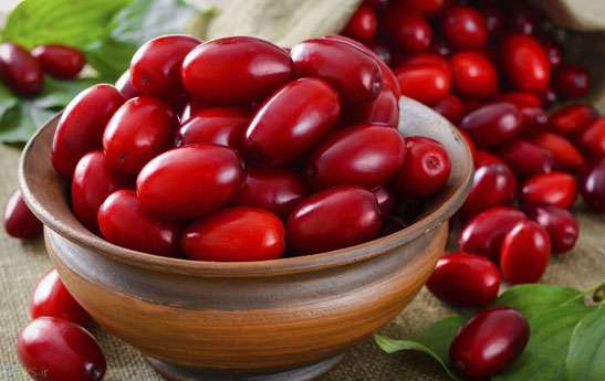 فواید تغذیهای زغال اخته فواید تغذیهای زغال اخته