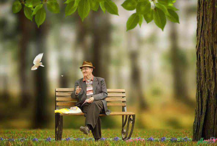 بهار در پاییز بهار در پاییز