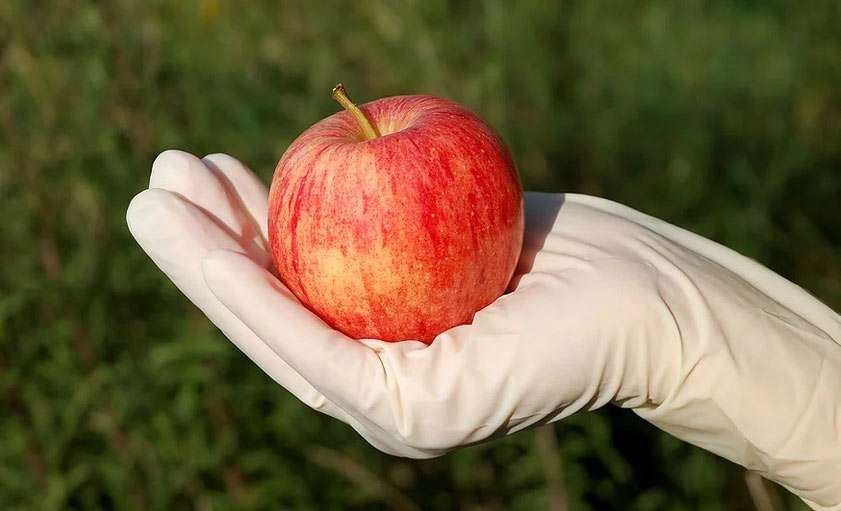 9 ماده غذایی برای مقابله با آلرژی بهاری 9 ماده غذایی برای مقابله با آلرژی بهاری