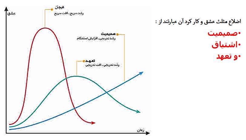 نمودار زندگی 