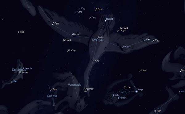 صورت فلکی دجاجه یا قو (Cygnus) صورت فلکی دجاجه یا قو (Cygnus)