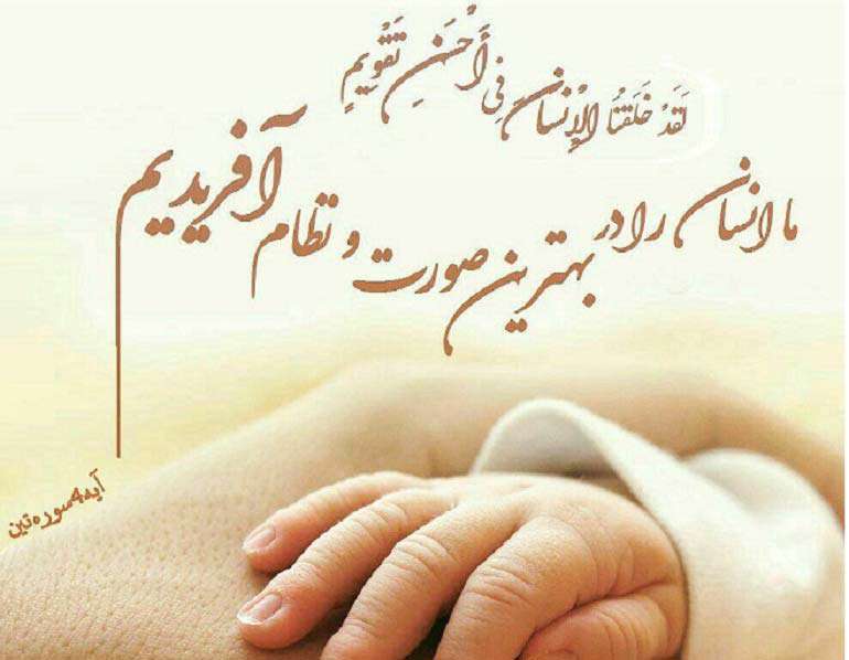 «بی نظمی» در عالم، دلیلی بر رد خدا!؟ «بی نظمی» در عالم، دلیلی بر رد خدا!؟