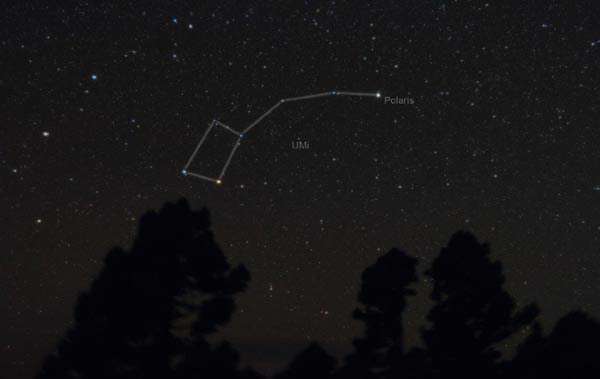 صورت فلکی خرس کوچک یا دُب اصغر (ursa minor)