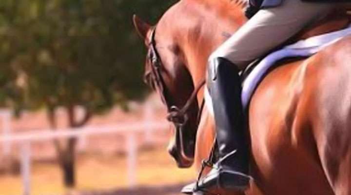 آموزش ورزش سوار کاری آموزش ورزش سوار کاری