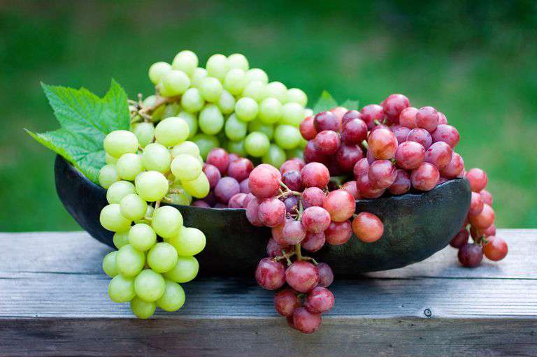 محدودیتهای طب سنتی برای مصرف انگور محدودیتهای طب سنتی برای مصرف انگور