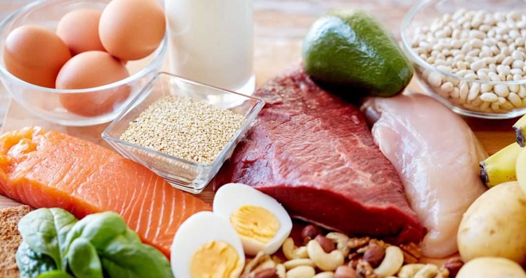 منابع غذایی پروتئینی
