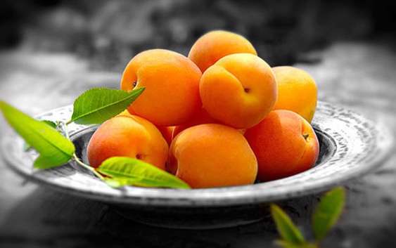 یک واحد زردآلوشناسی یک واحد زردآلوشناسی