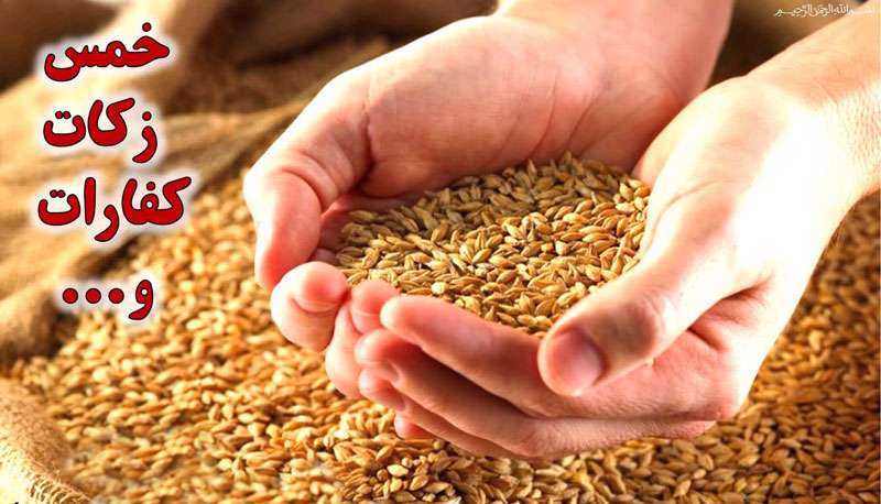 خمس و زکات افراد نابالغ خمس و زکات افراد نابالغ