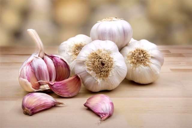 7 گیاه تصفیه کننده خون 7 گیاه تصفیه کننده خون