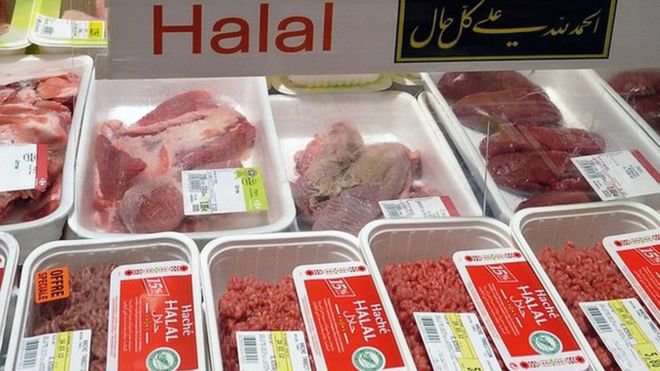 شهرداری نیویورک بودجه ای برای تهیه غذای حلال در مدارس اختصاص داد شهرداری نیویورک بودجه ای برای تهیه غذای حلال در مدارس اختصاص داد